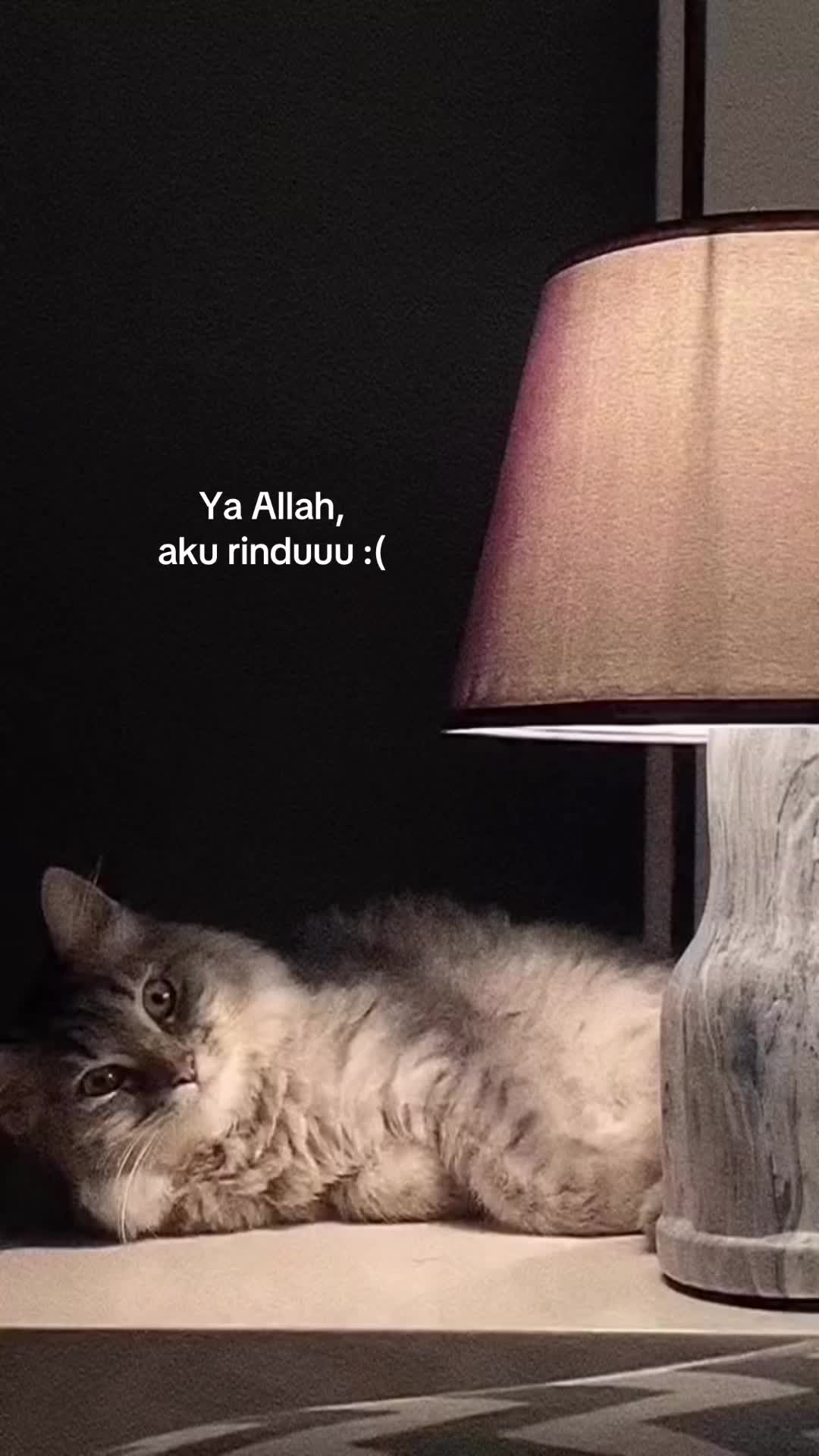 @Izzatyy_