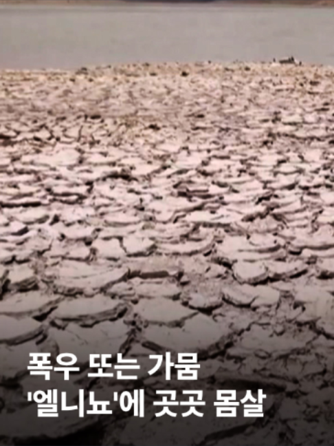 @JTBC News