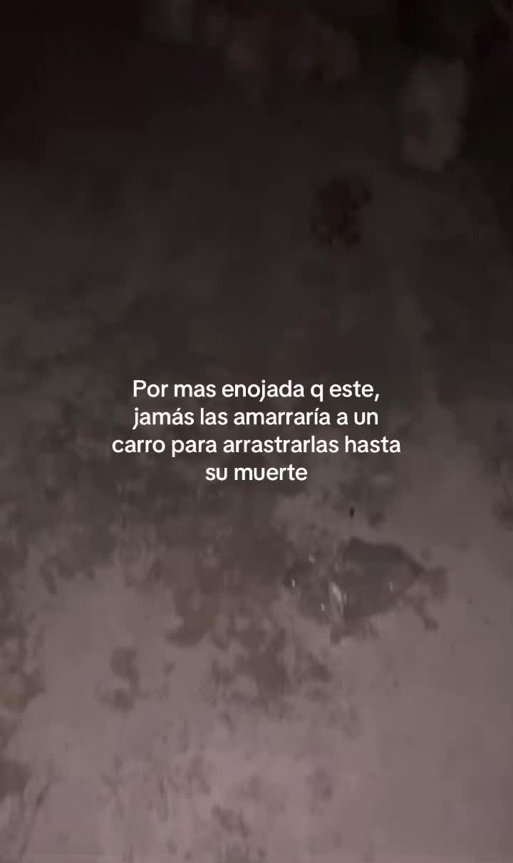 @ᛪ༙