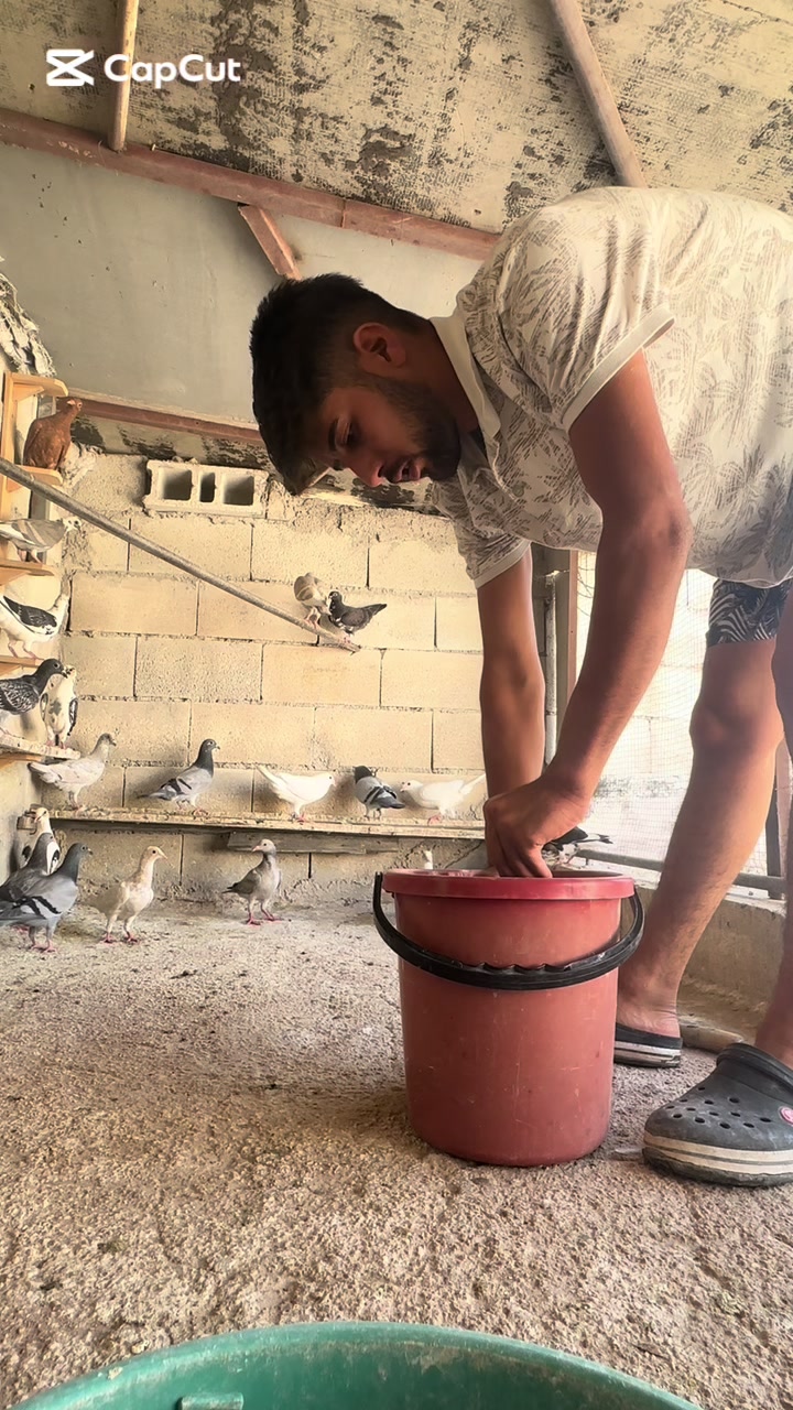 @Abdul Reşit Arıcak