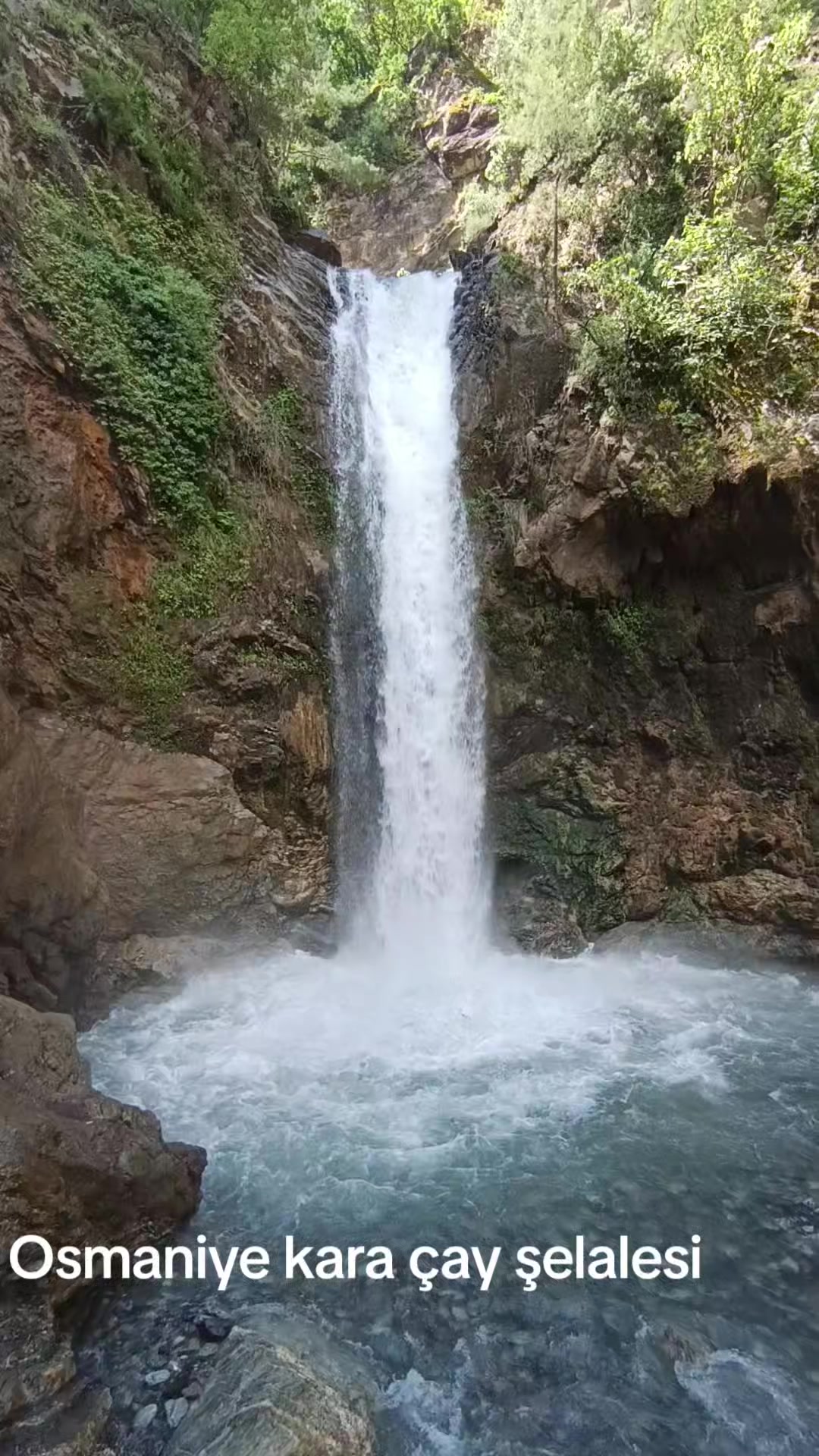 @murselin6344