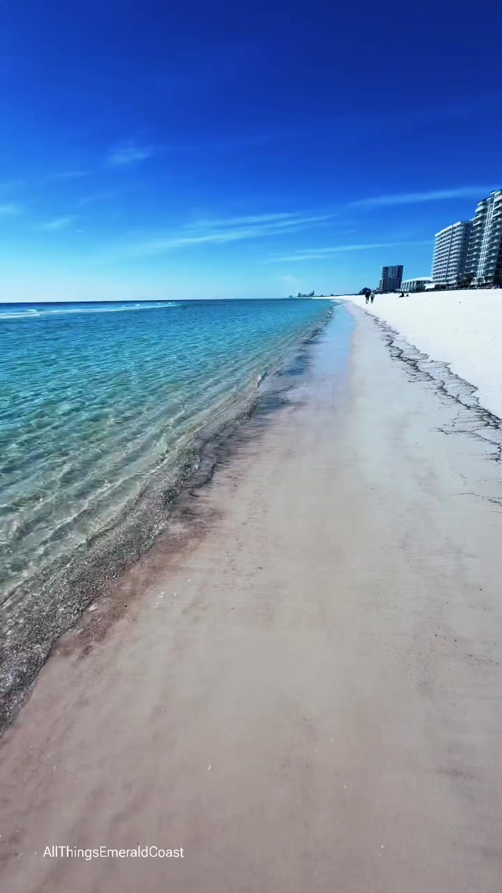 @واثقه بالله