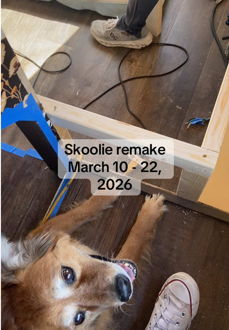 @Sunny The Skoolie