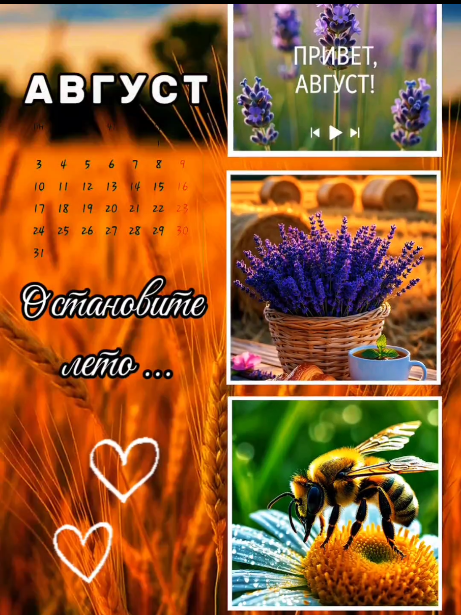 @Ольга