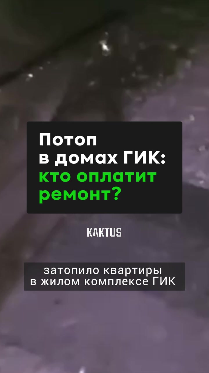 @Kaktus.media
