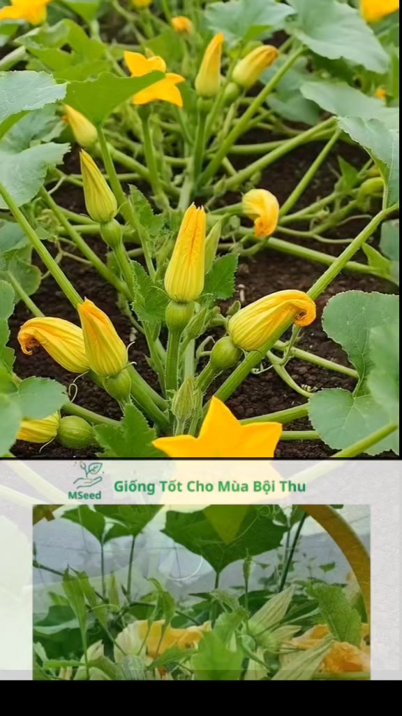 @tới đồ d&ugrave;ng