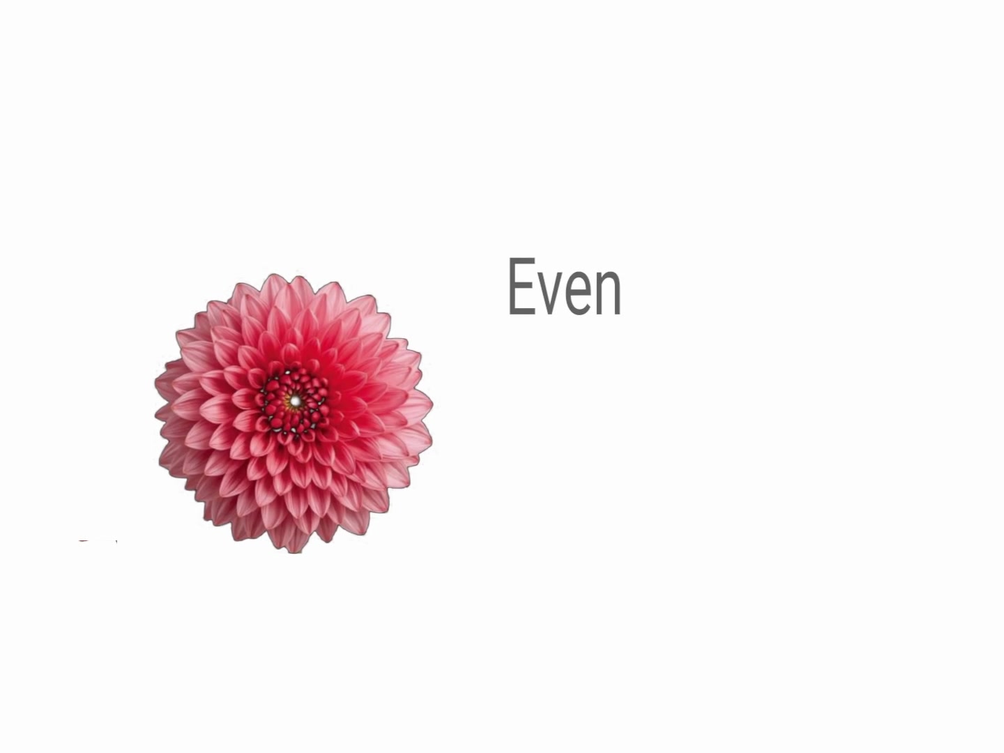 @︎ ︎ ︎ ︎ ︎︎︎︎︎︎︎︎︎︎︎Jed ︎ ︎ ︎ ︎