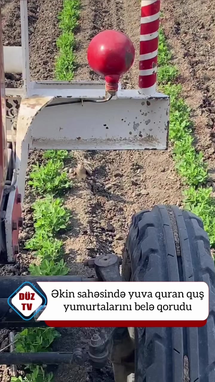 @Duz_tv_news