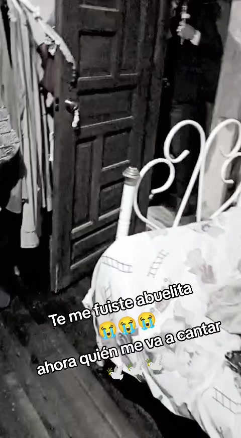 @Alex Xavier