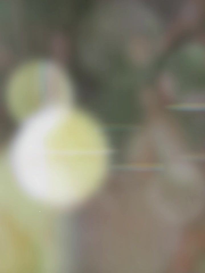 @𝑫𝑹 𝑫𝒐𝒍𝒐𝒏 𝑹𝒂𝒋