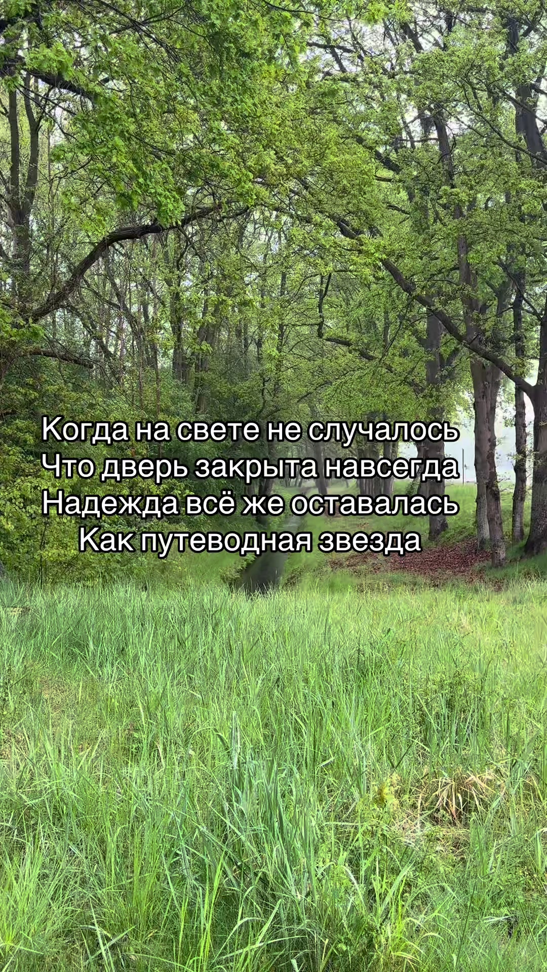 @Алексей