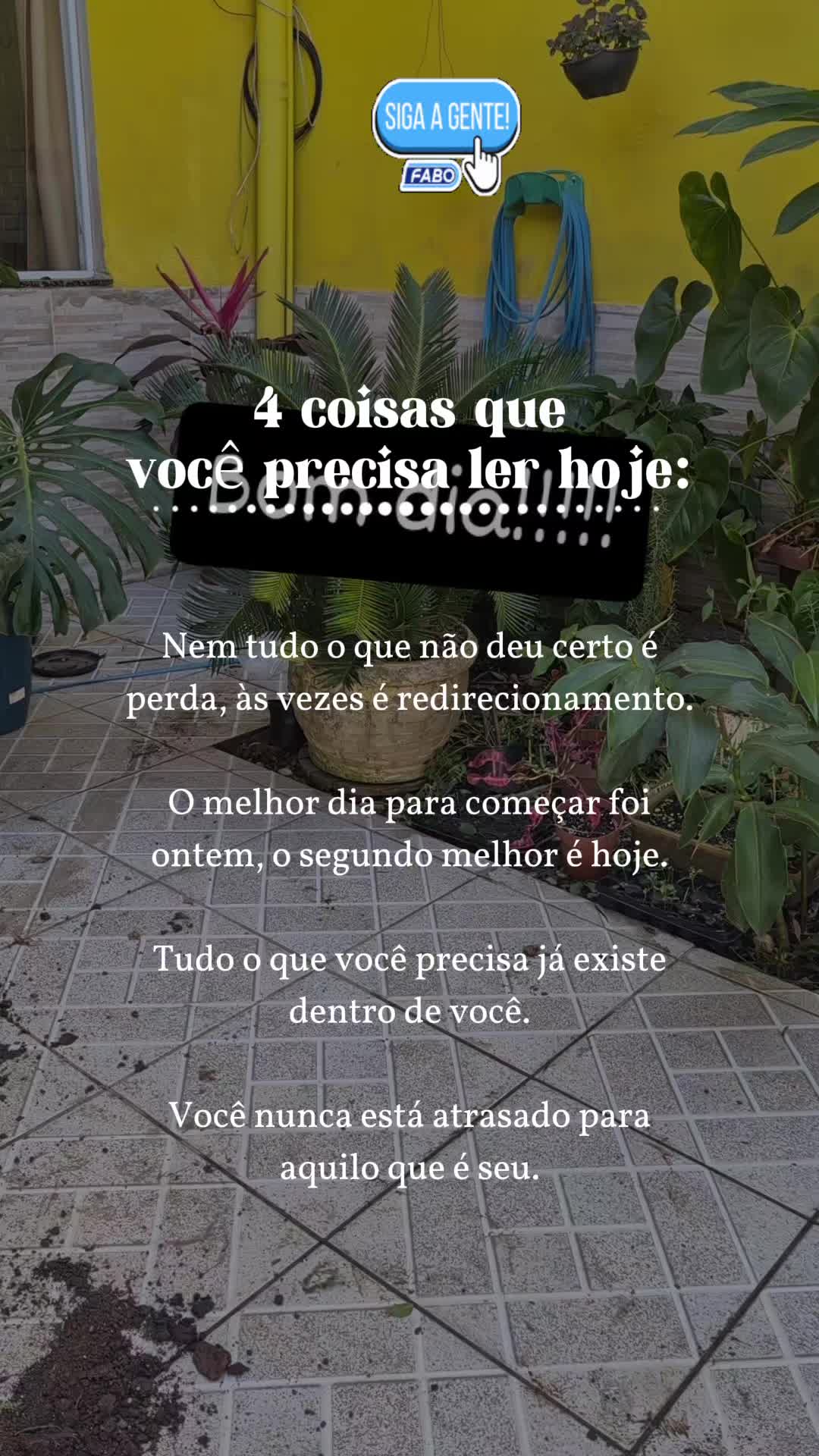 @Simone Aranha