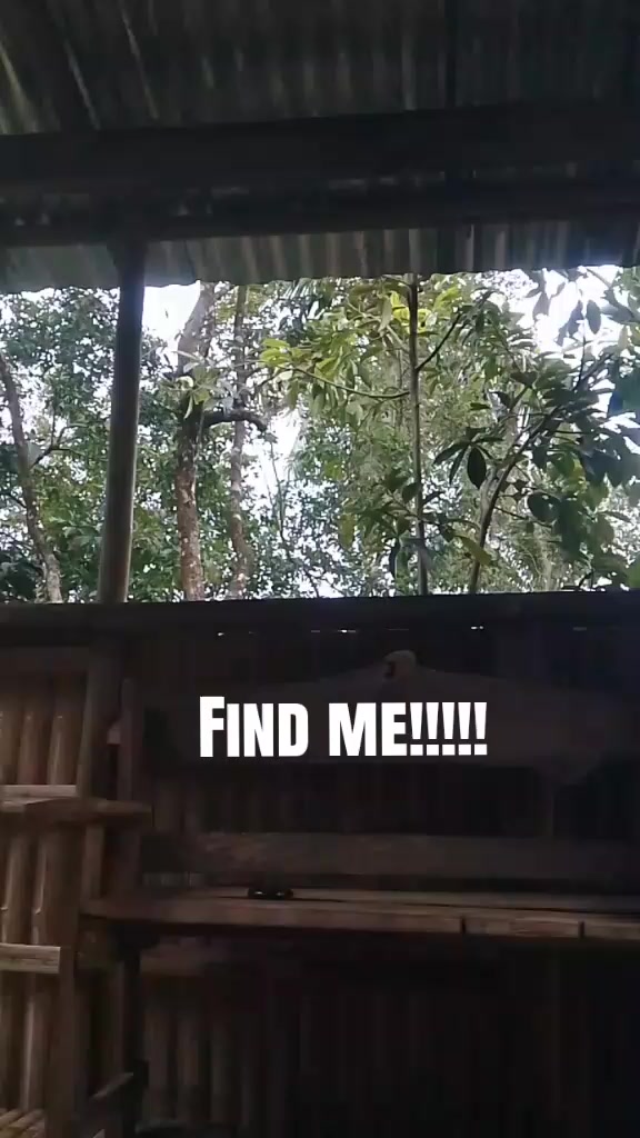 @Chrisia