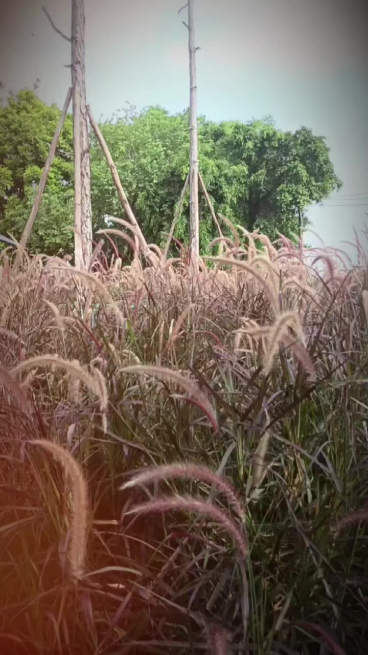 @Nguyễn Thị Hải Yến
