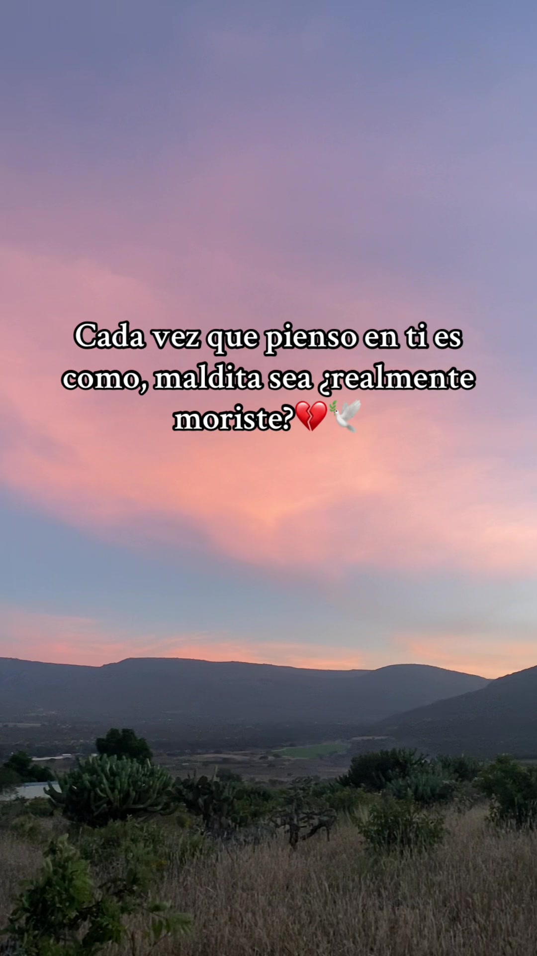 @ramirezyadis