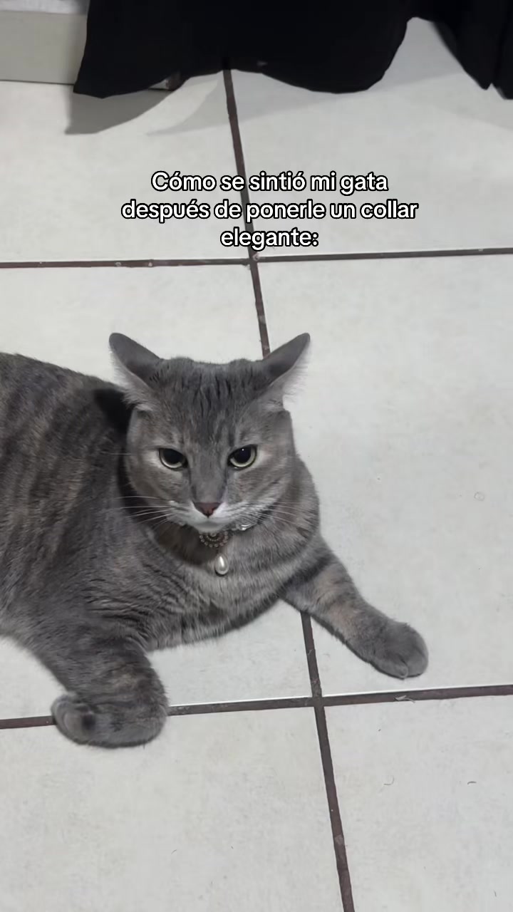@𝒟𝒾𝒶𝓃𝒾𝓉𝒶🤍