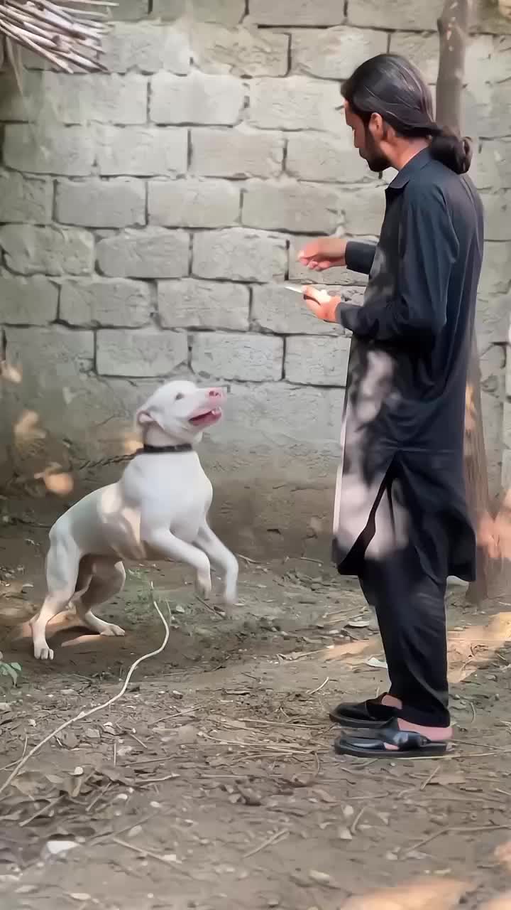 @آویز💸