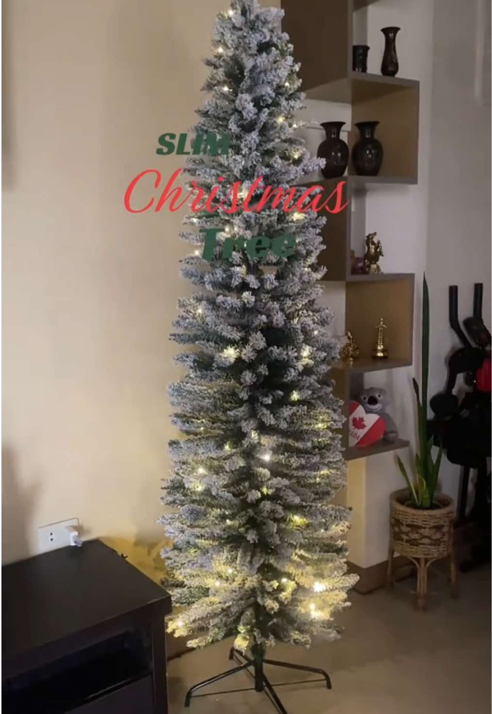 @mylesvasquez