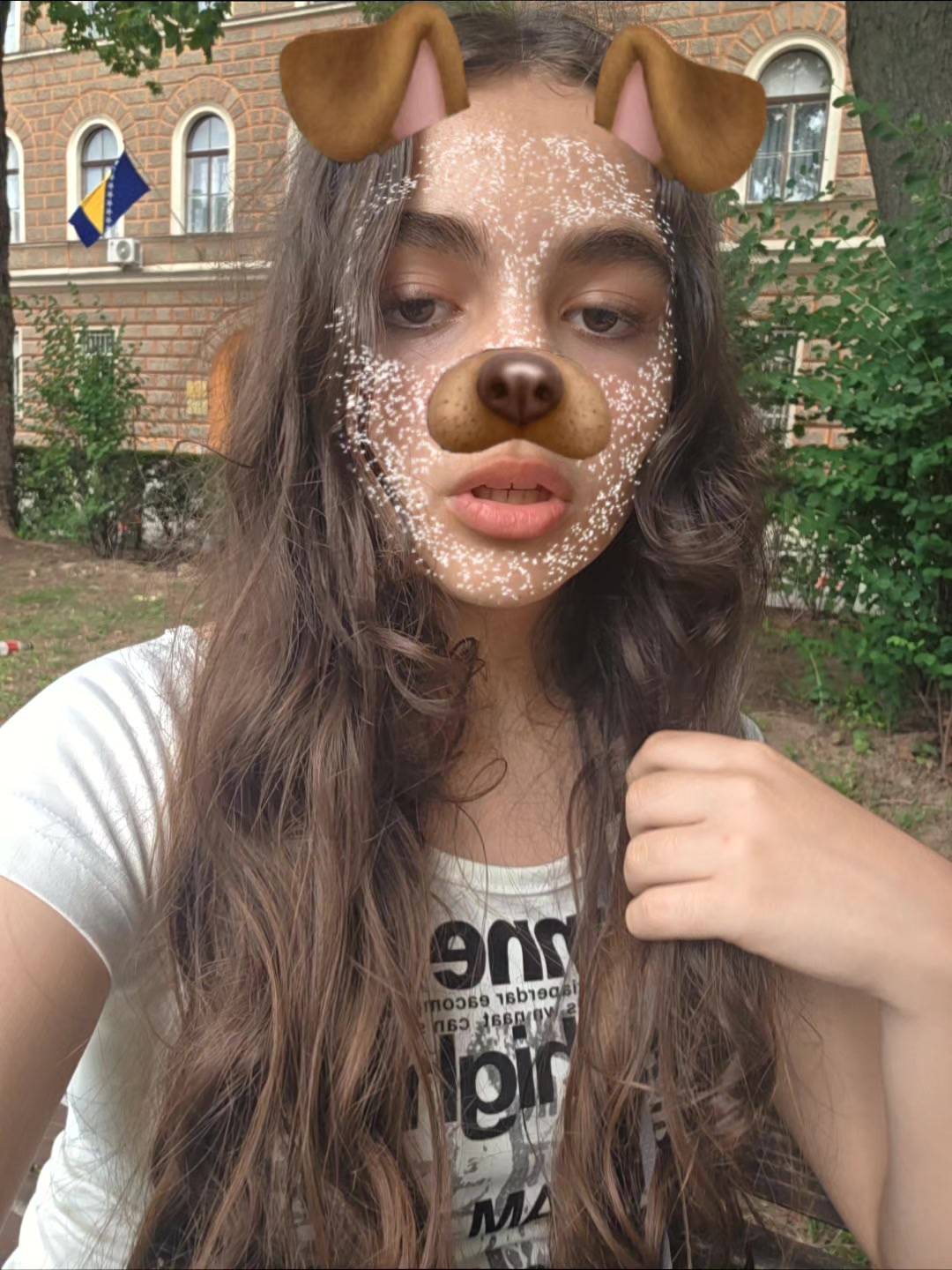 @belmabeca
