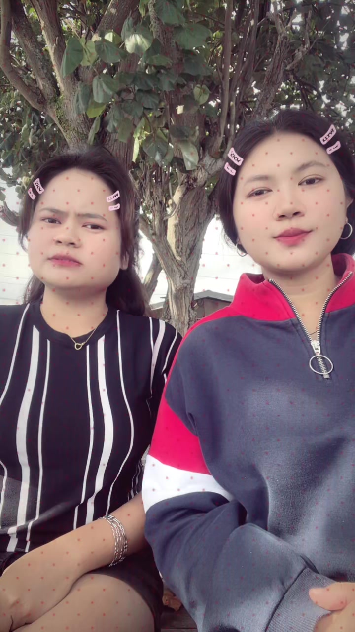 @Harta Tahta Veronika