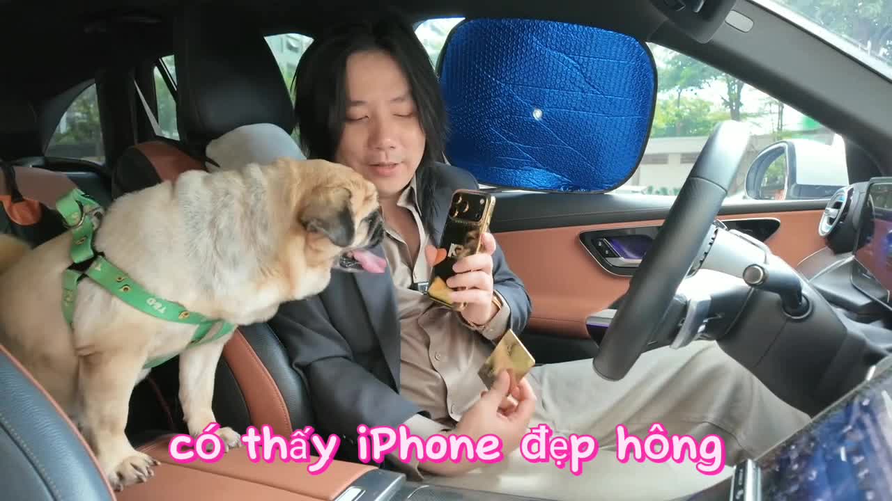 @Khoa Pug