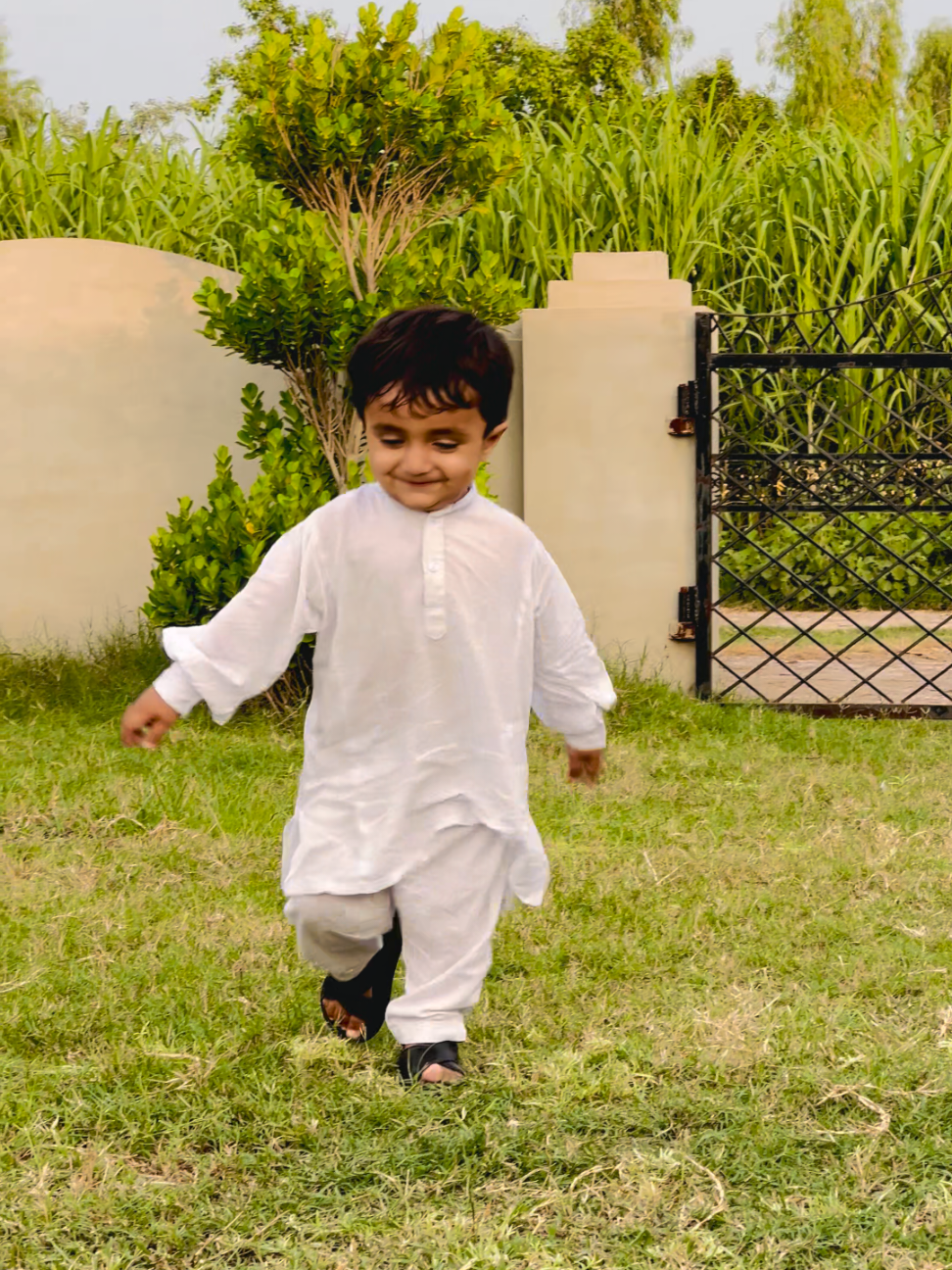 @Rohan Zafar