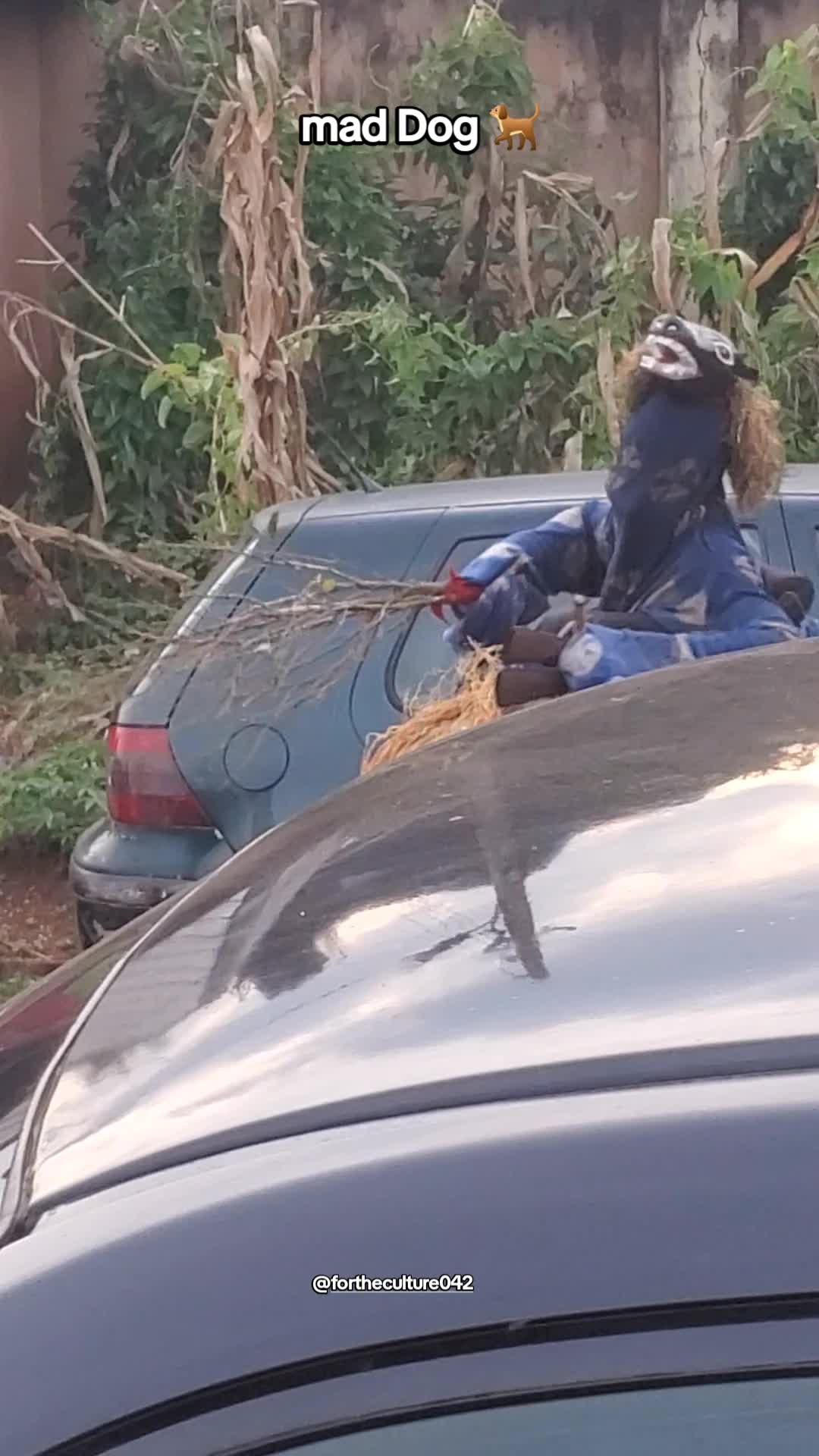 @fortheculture042