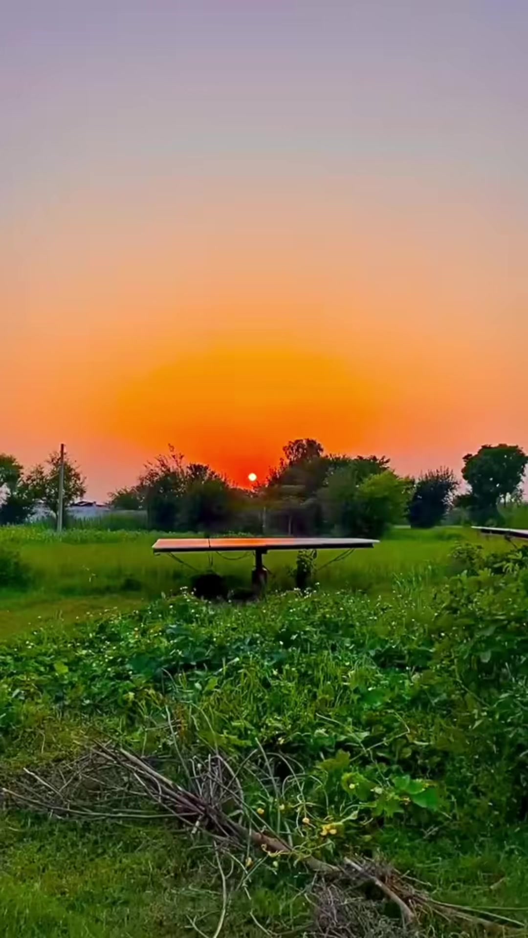@Salman Ranjha