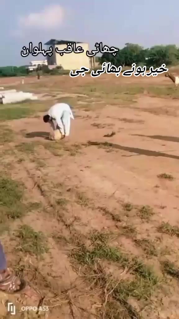 @🖤👍👑(زین)👑 (بادشاہ )👑👍🖤