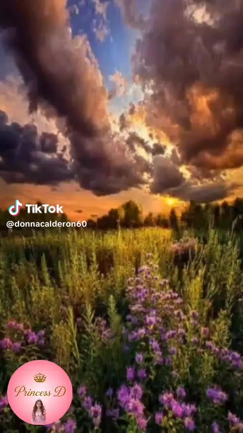 @fr&oacute;zenheart143
