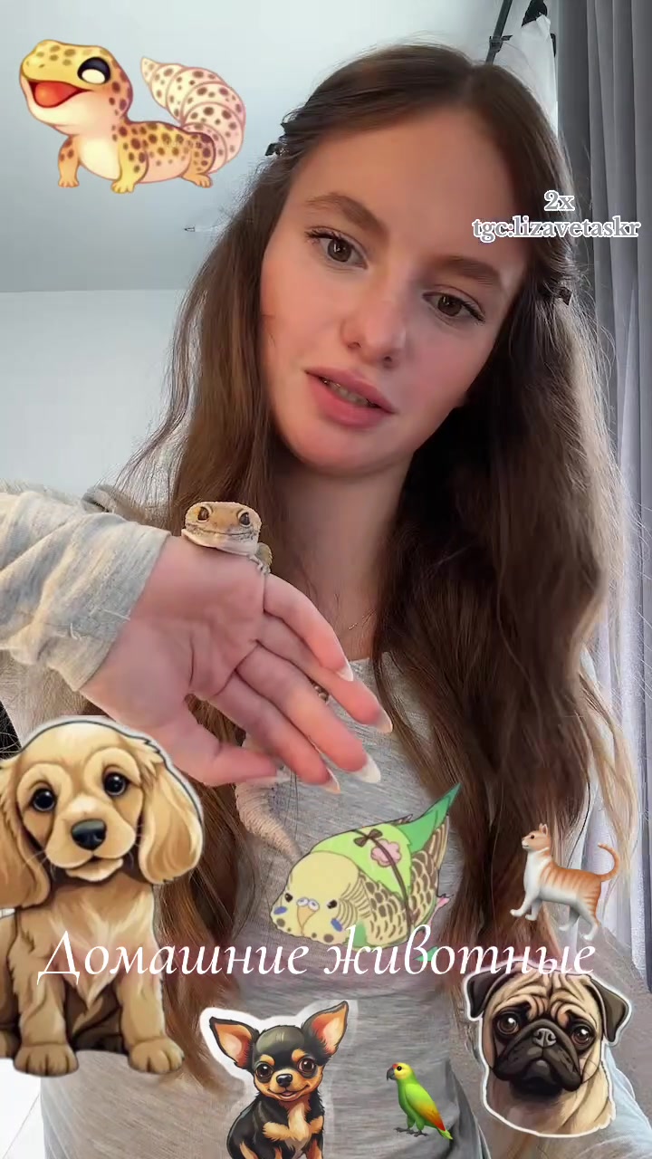 @lizaveta🐈⬛