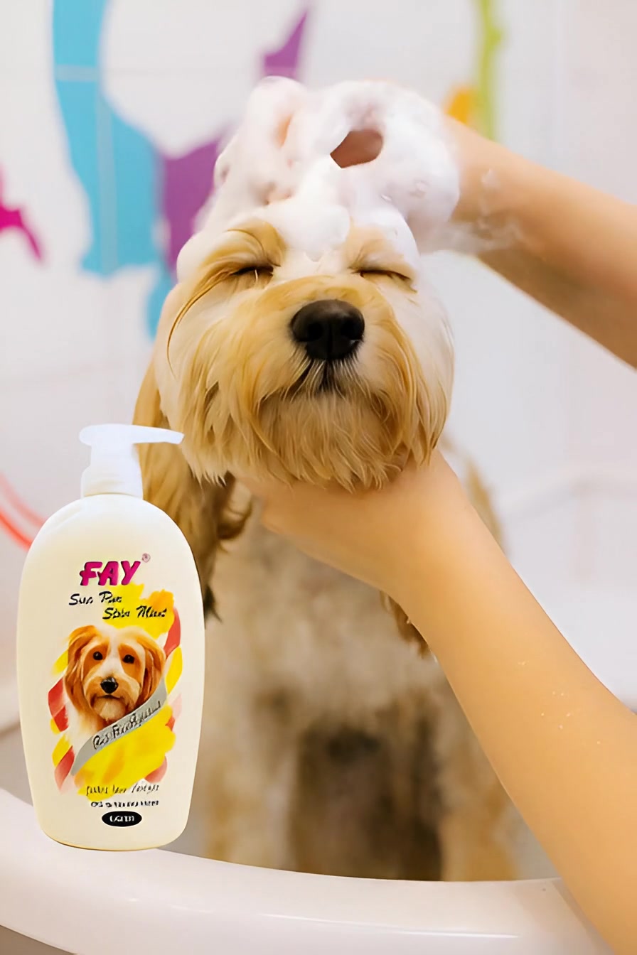 @PetCare