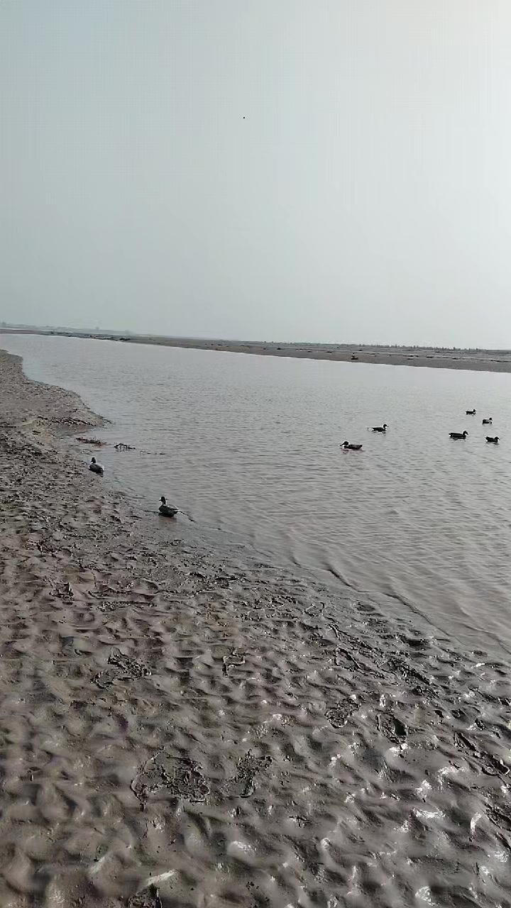@shahbaz Punjabi 0786
