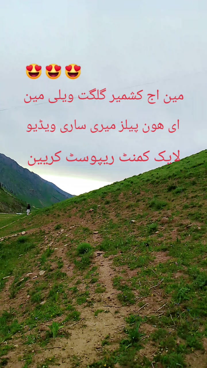 @سیدذادی