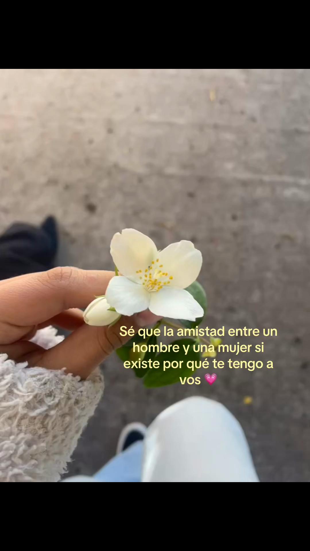 @・:*+.~𝓚iki~・:*