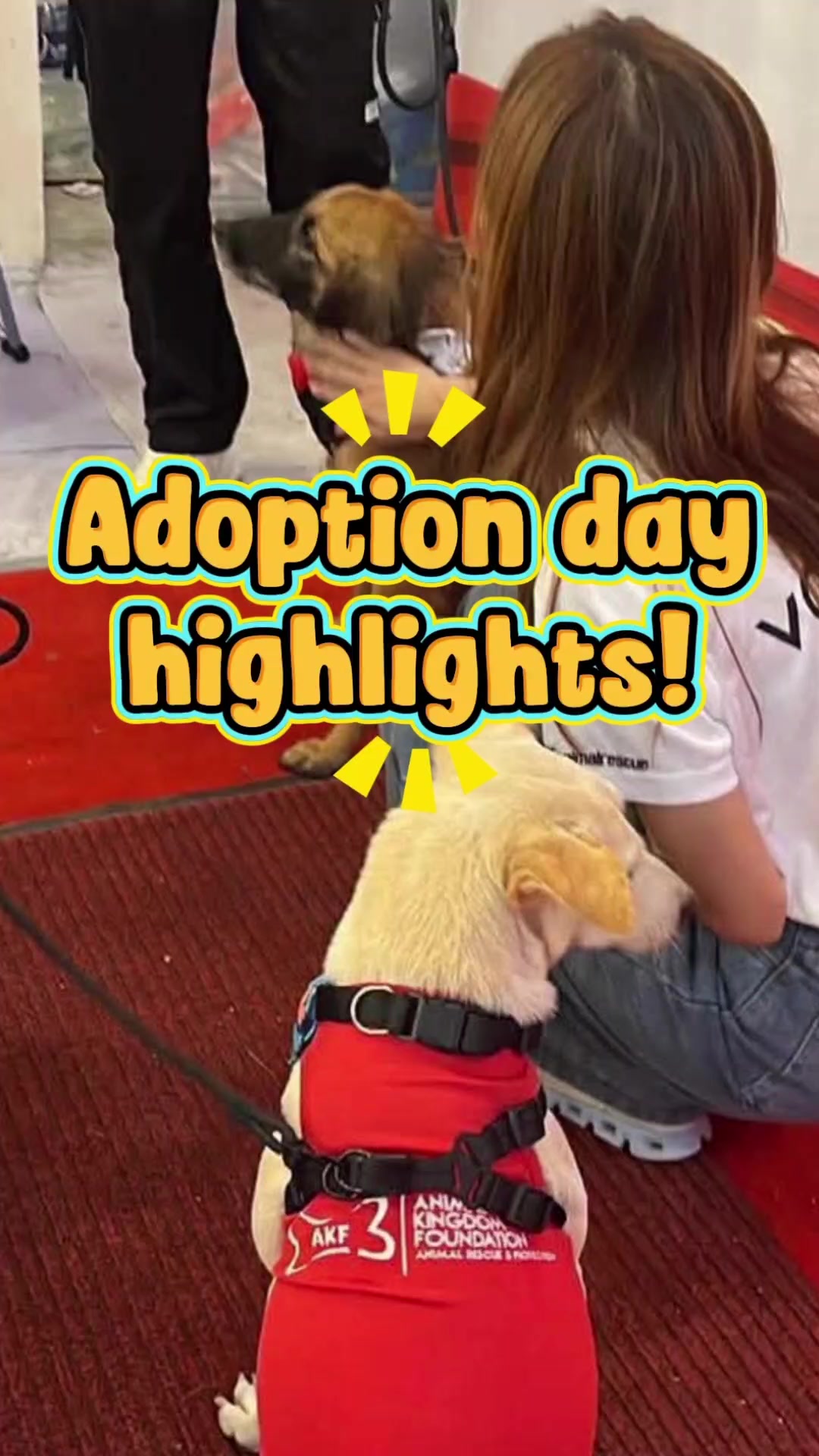 @AnimalKingdomFoundation