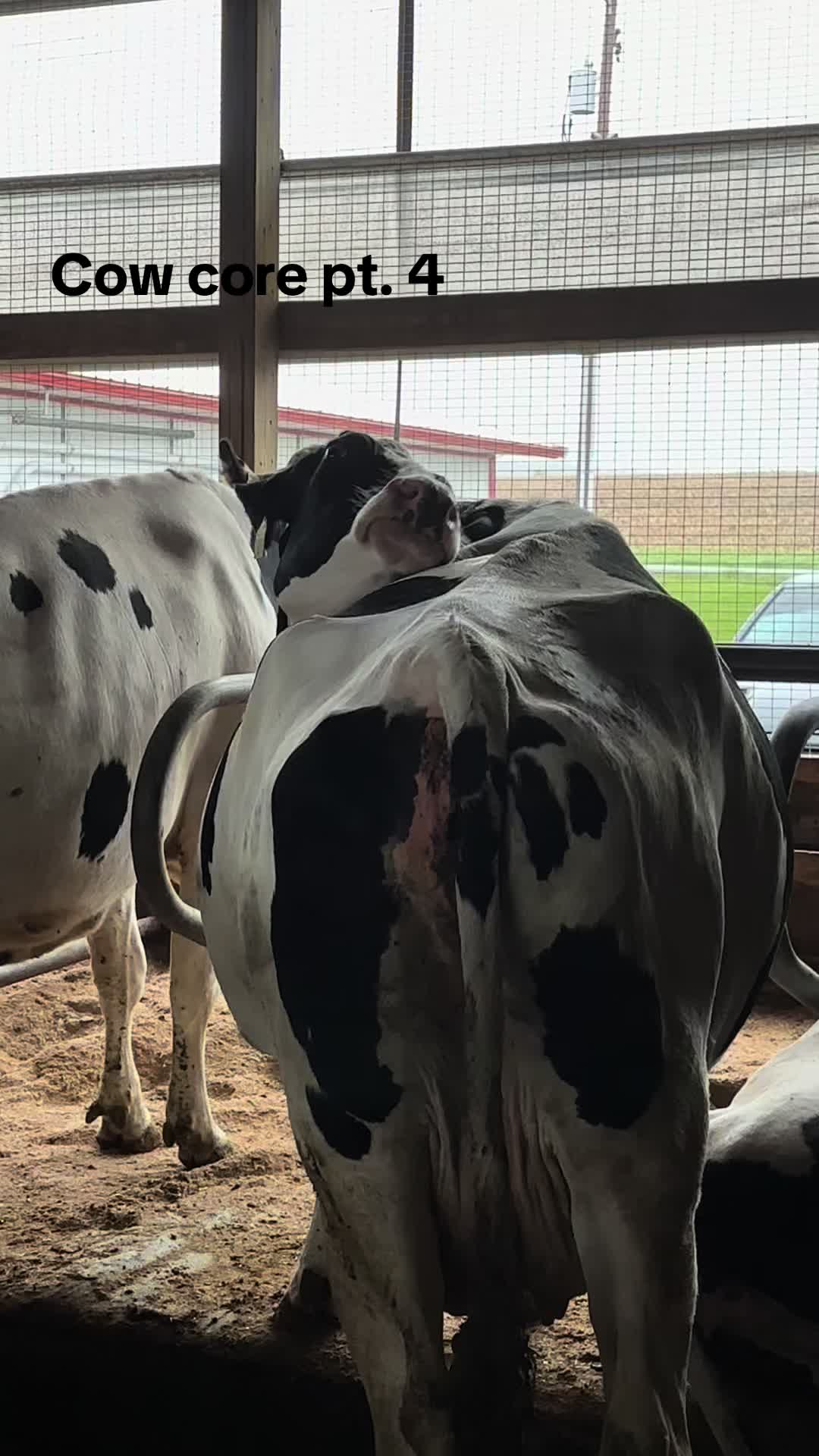@Pingrey Family Farm LLC