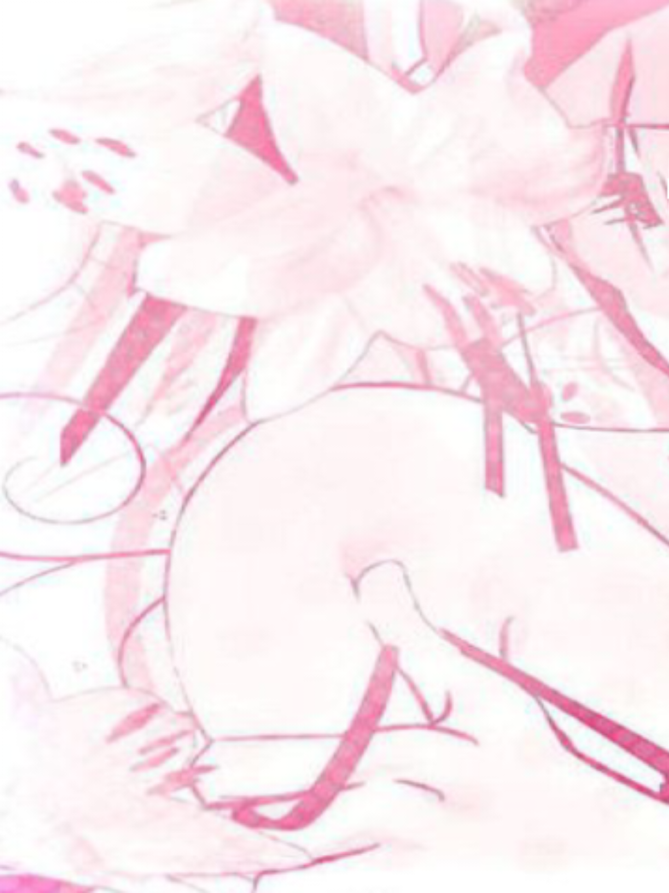 @✦⁺₊✩☽⋆ ℳ𝒾𝒸𝒽/sua ⋆☾✩⁺₊✦