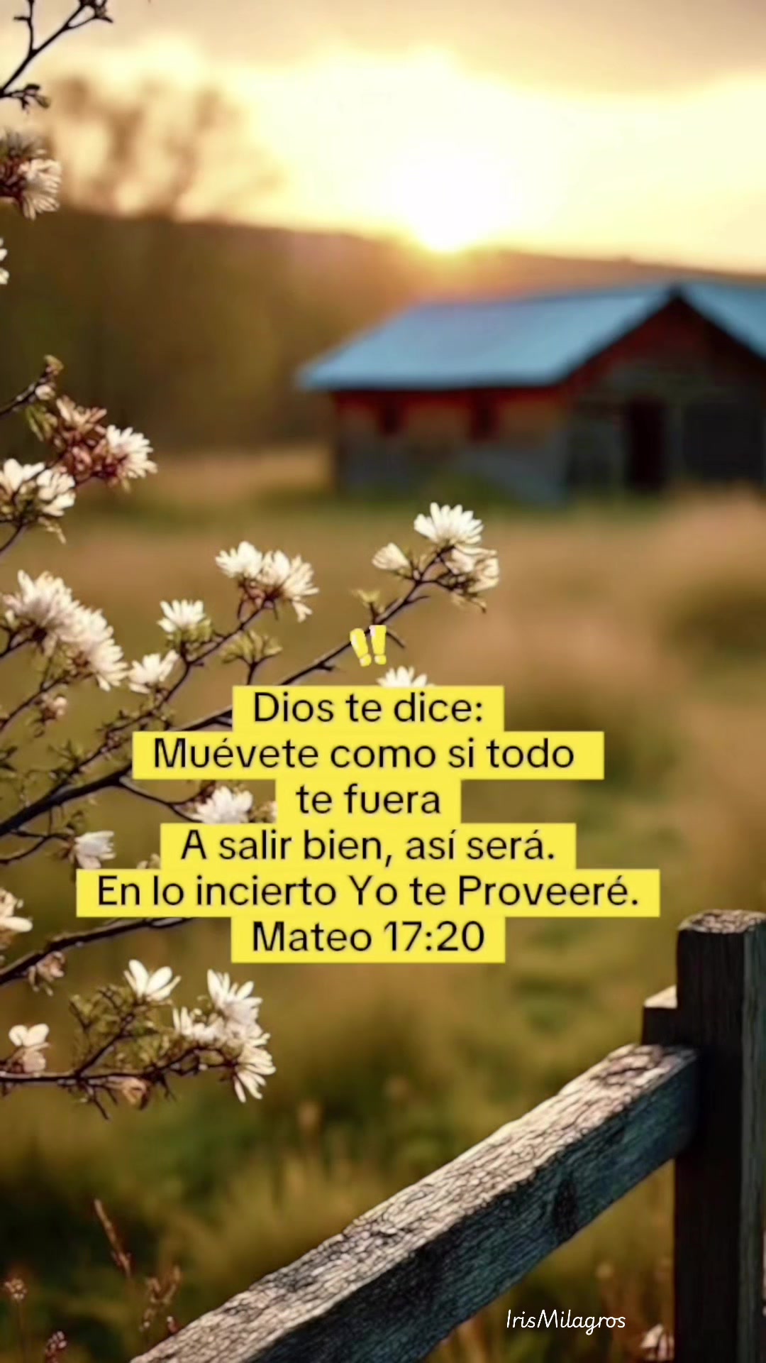 @IrisMilagros 🌼🌸