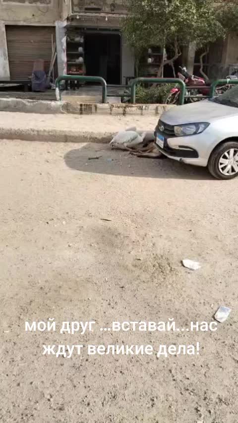 @Svetkin2507