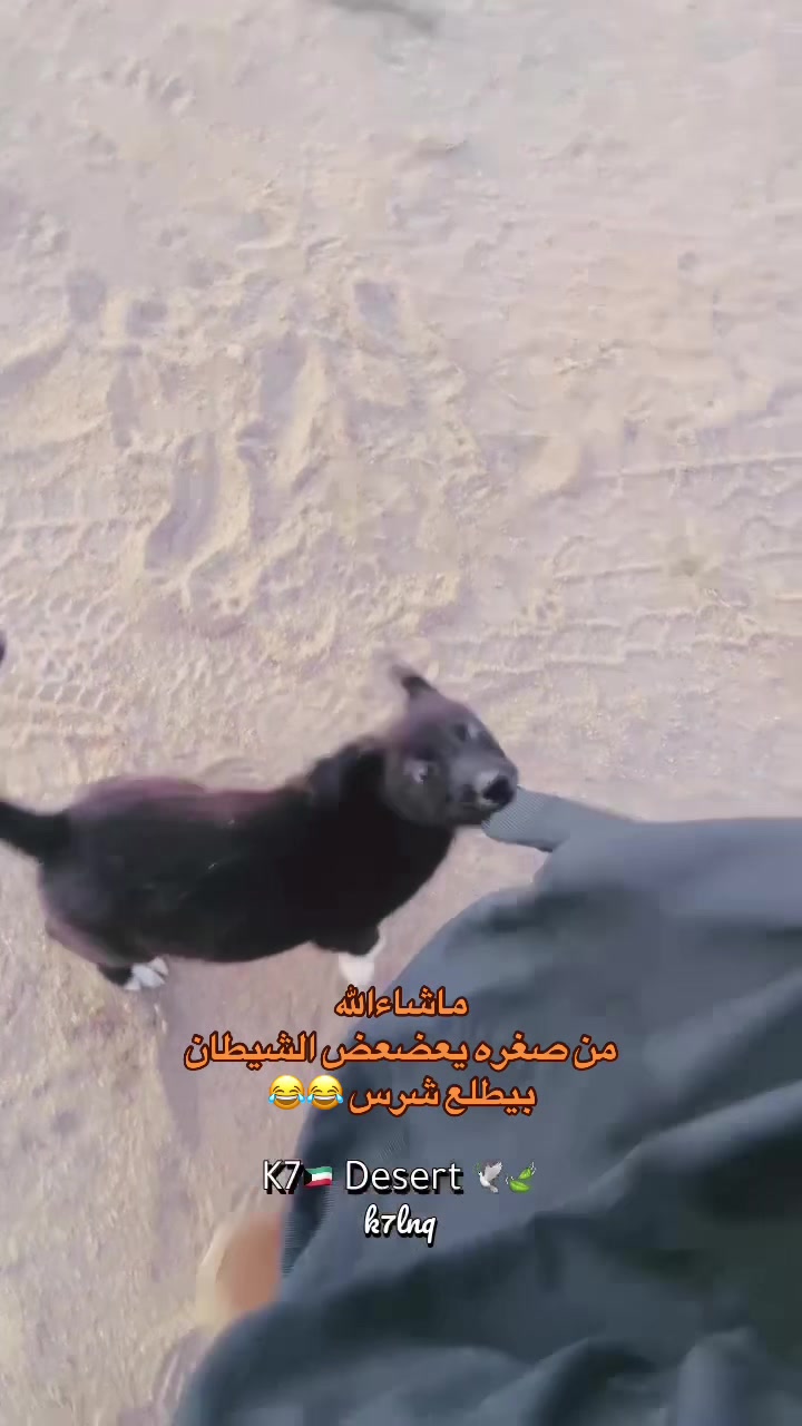 @K7🇰🇼