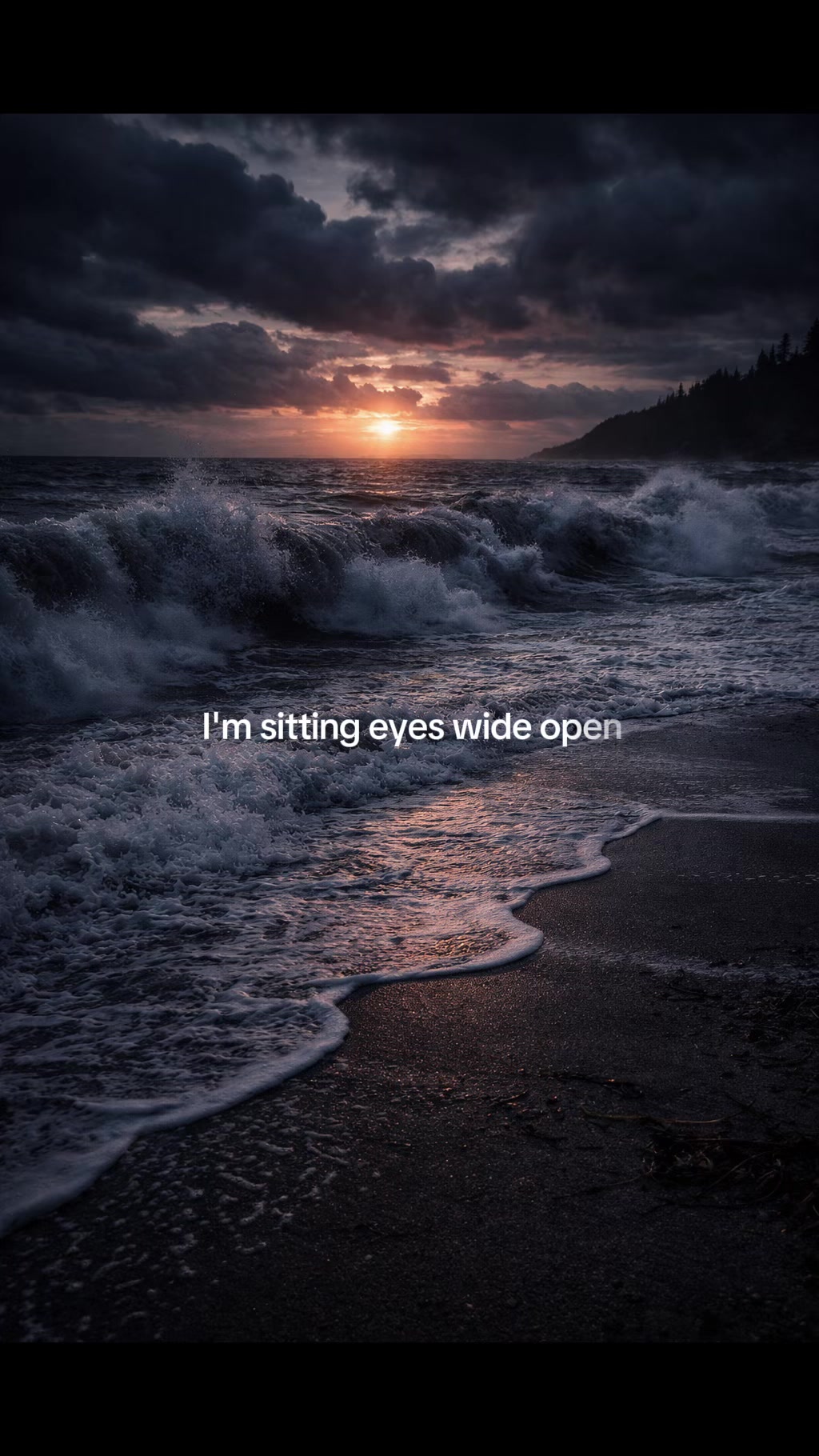 @Bird Words