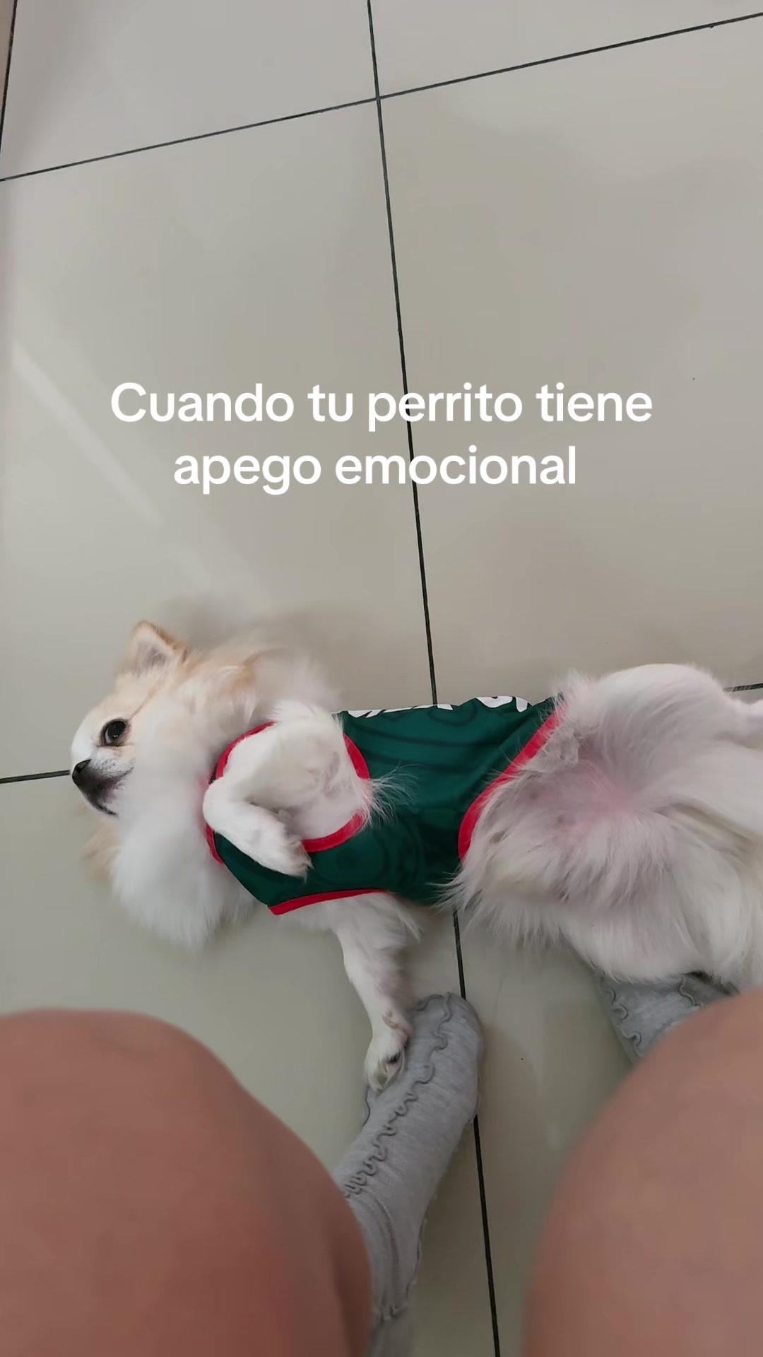 @Maca