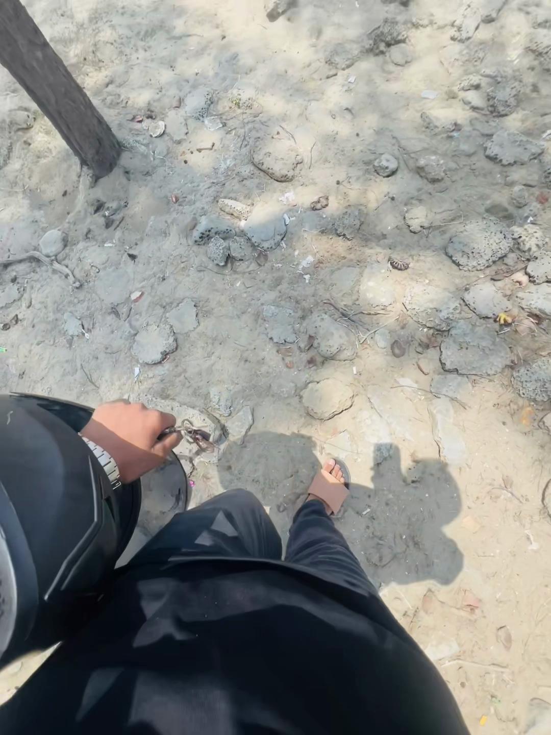 @Sobahan >🕸️