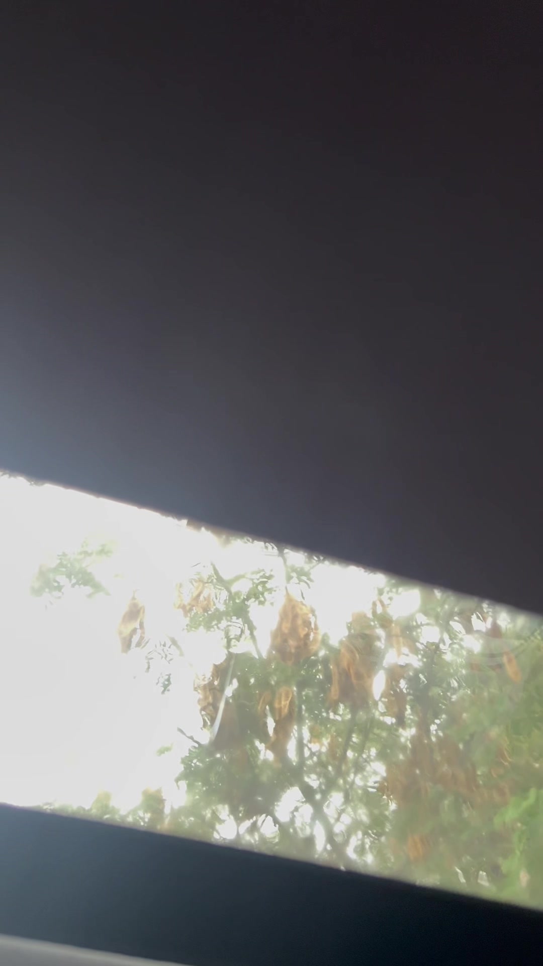 @يوسف ~