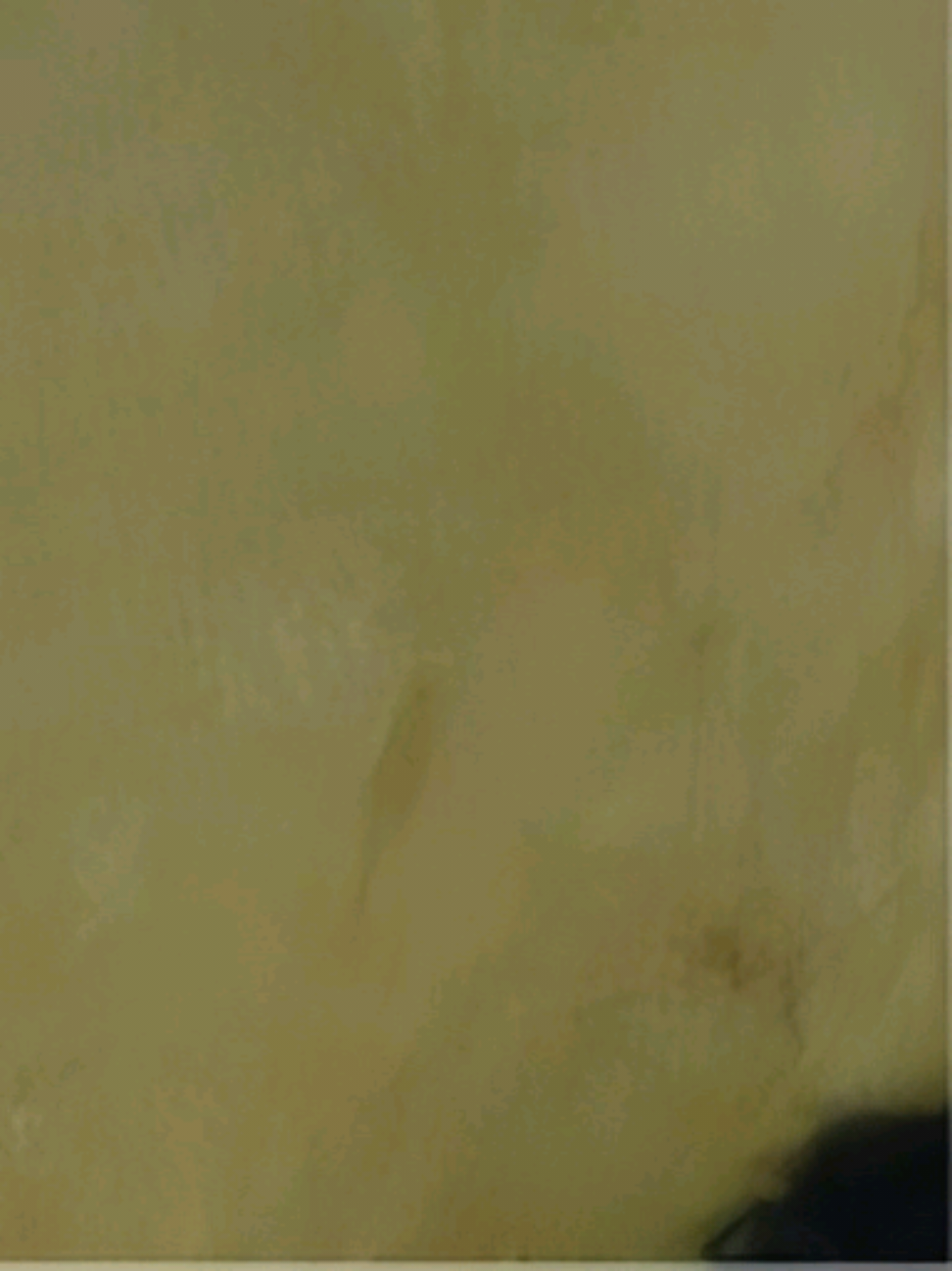 @νιяα.мυѕιᴄᥫ᭡