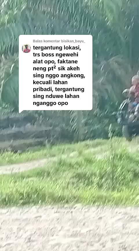 @Zulfikar_MJ