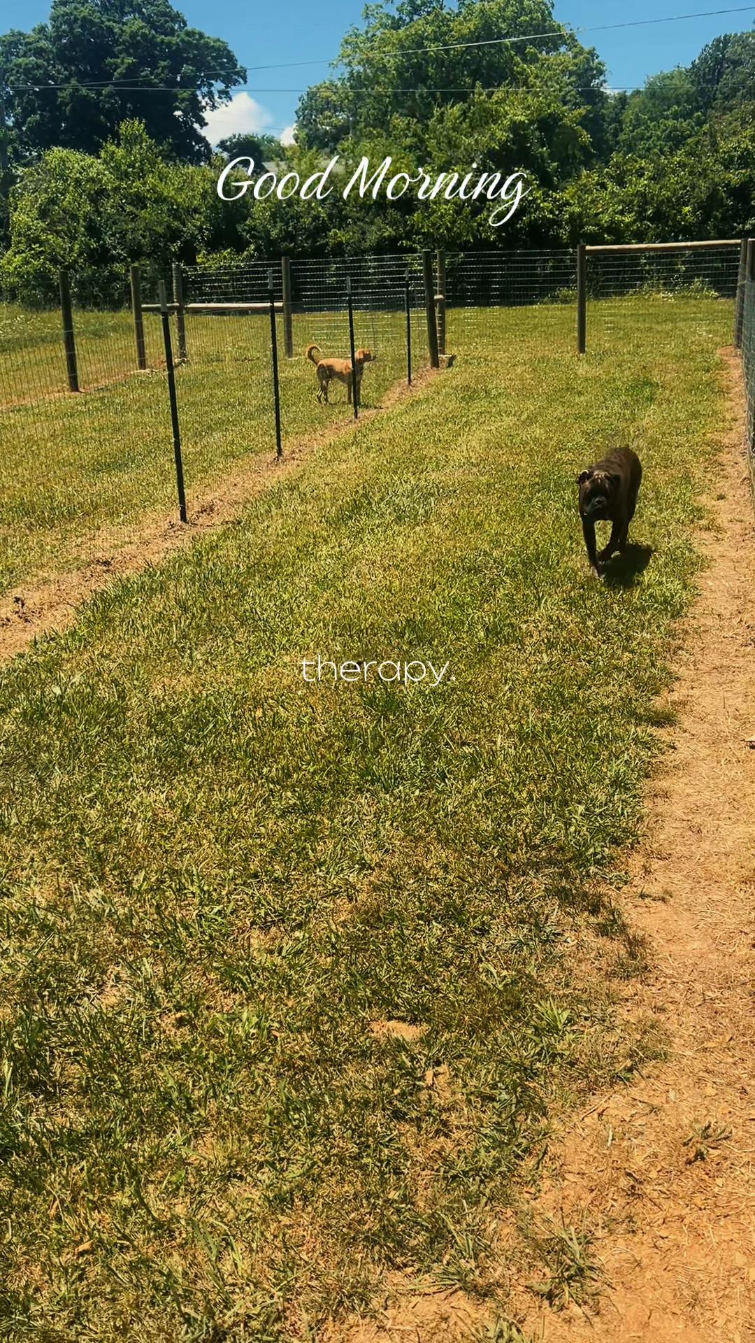 @Angie@k9kennels🐾