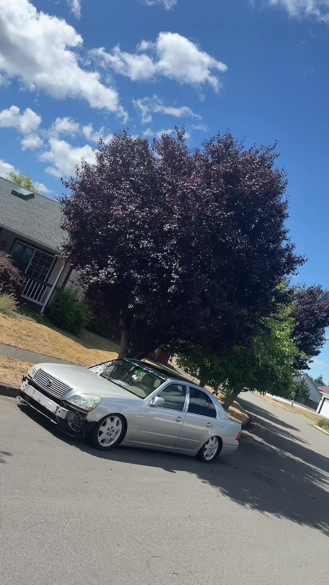 @prettyfuckinglow