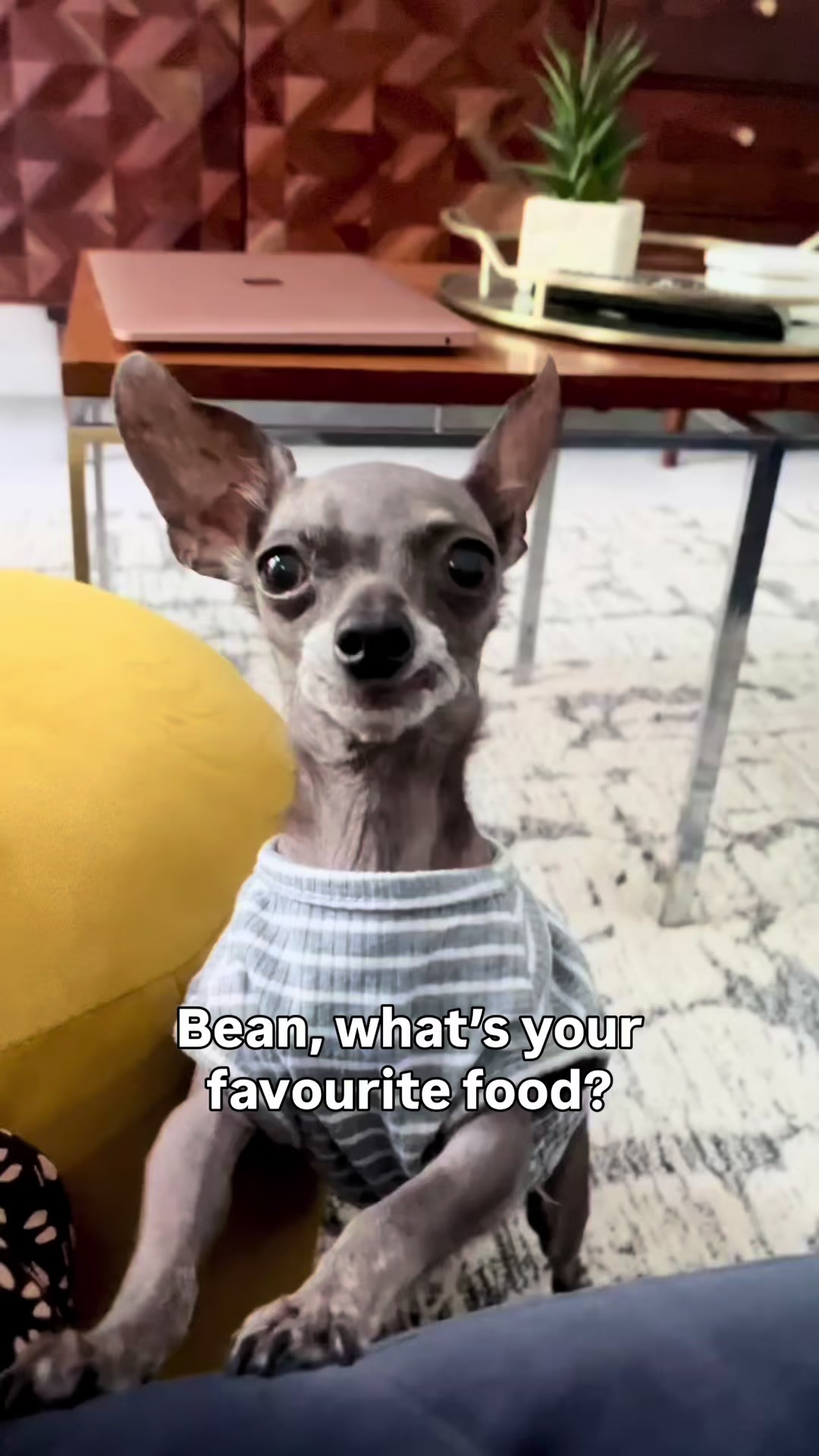 @Betty & Bean
